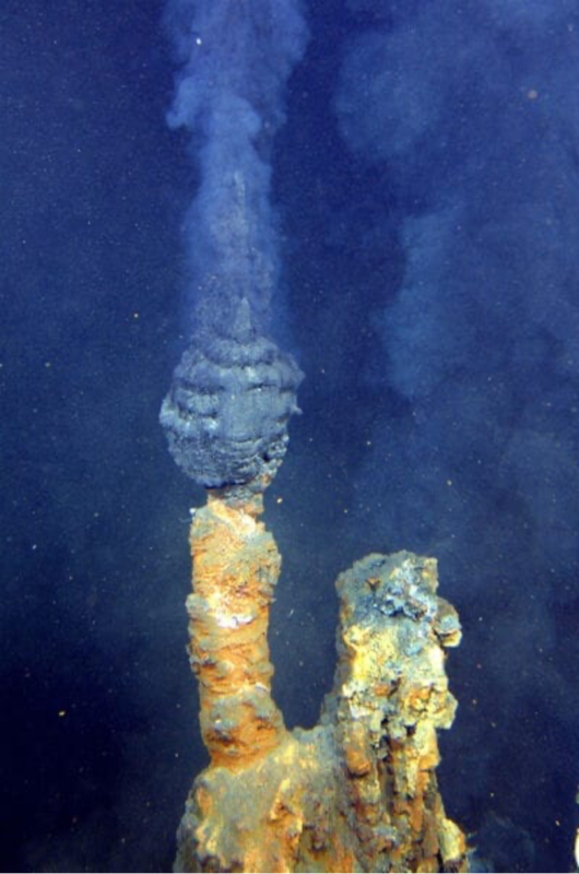 En las chimeneas hidrotermales existen productores autótrofos que no necesitan la luz del sol