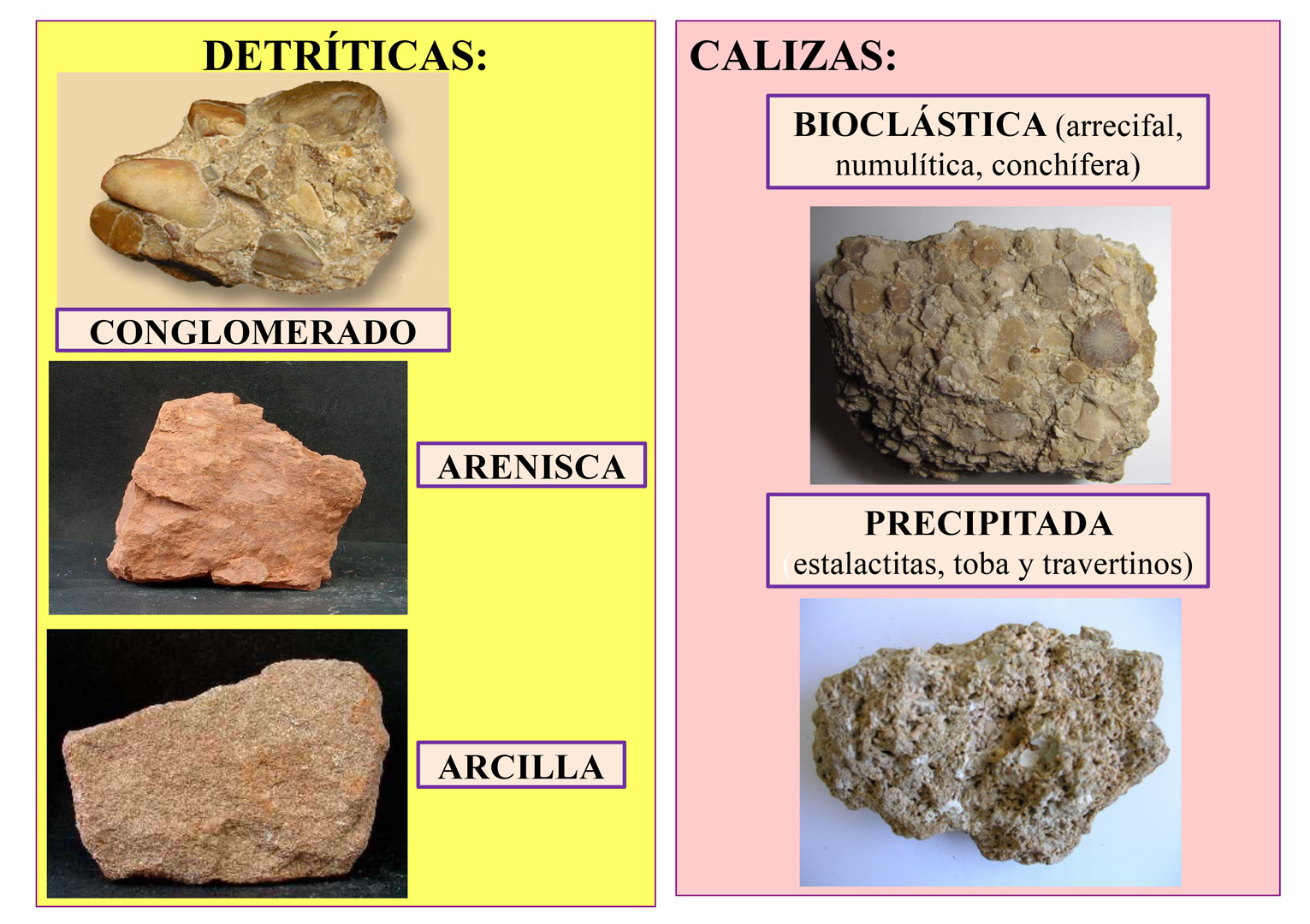 Biología Y Geología 1º ESO