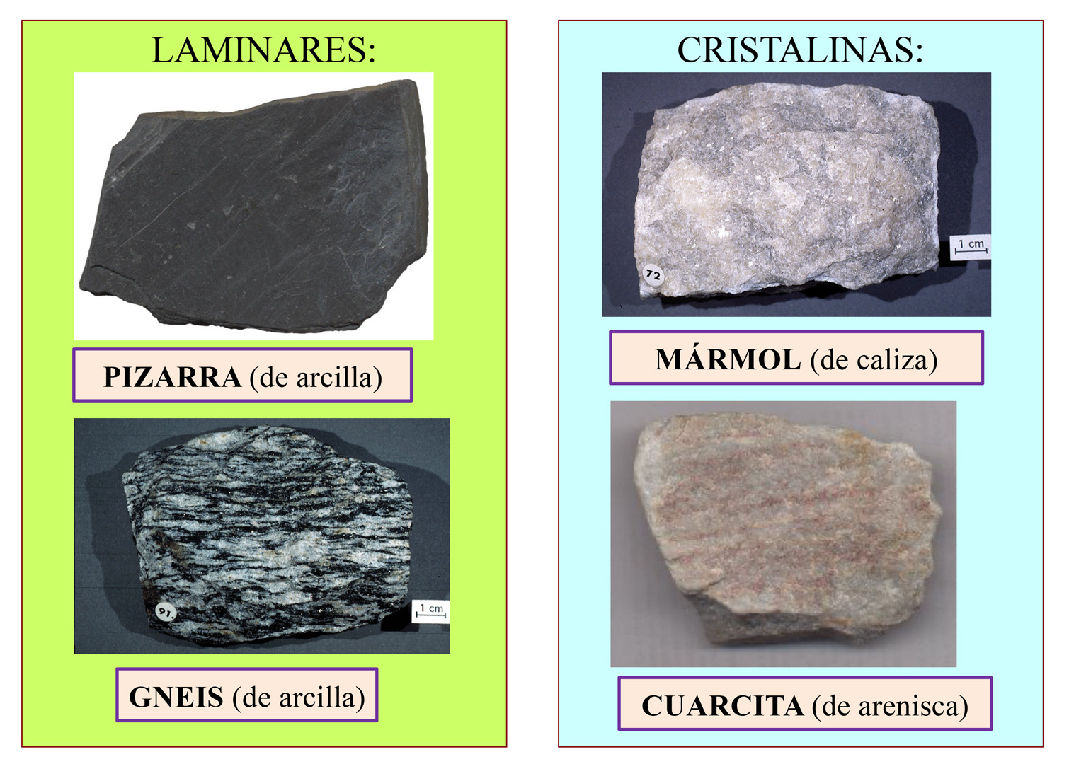 Biología Y Geología 1º Eso 2414